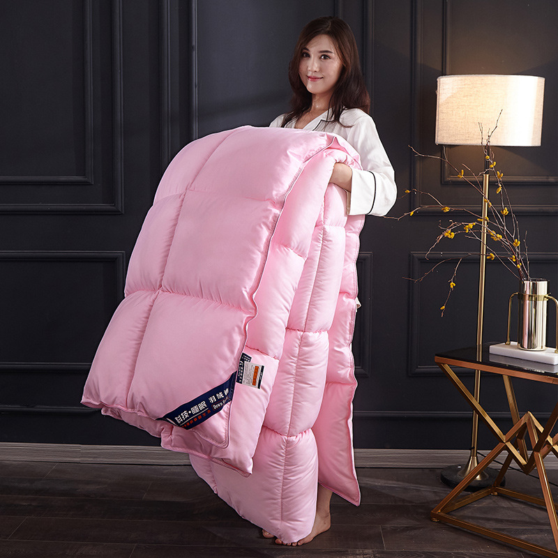 흰 거위 아래 이불 겨울 두꺼운 따뜻한 봄, 가을 이불 - Duvet Insert White 리뷰 및 가격