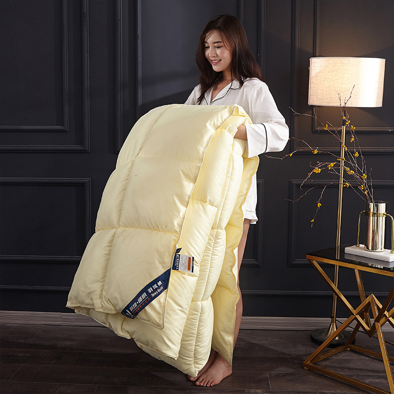 흰 거위 아래 이불 겨울 두꺼운 따뜻한 봄, 가을 이불 - Duvet Insert White 리뷰 및 가격