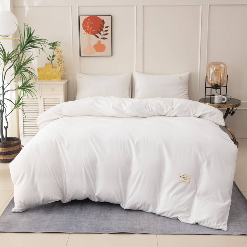 두꺼운 110g 폴리에스터 초부드러운 화이트 4피스 침 - Duvet Insert White 리뷰 및 가격